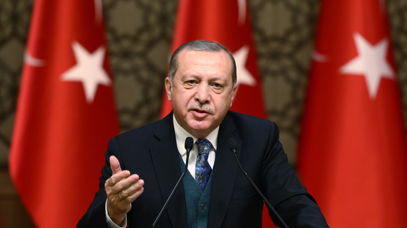 Эрдоган заявил о готовности Турции «пойти разными путями» с Европейским союзом