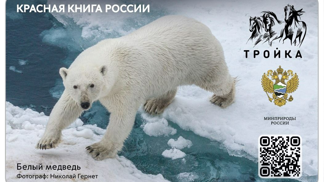 В Москве появились карты «Тройка» с изображением редких животных России