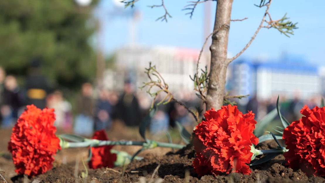 Развожаев: В Севастополе установят бюсты героев СВО