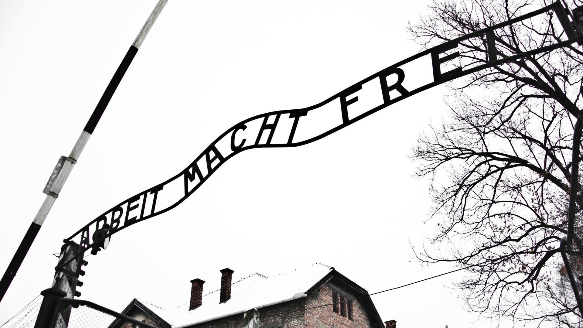 Минобороны РФ опубликовало раздел «Звериное лицо фашизма» ко Дню освобождения узников концлагерей