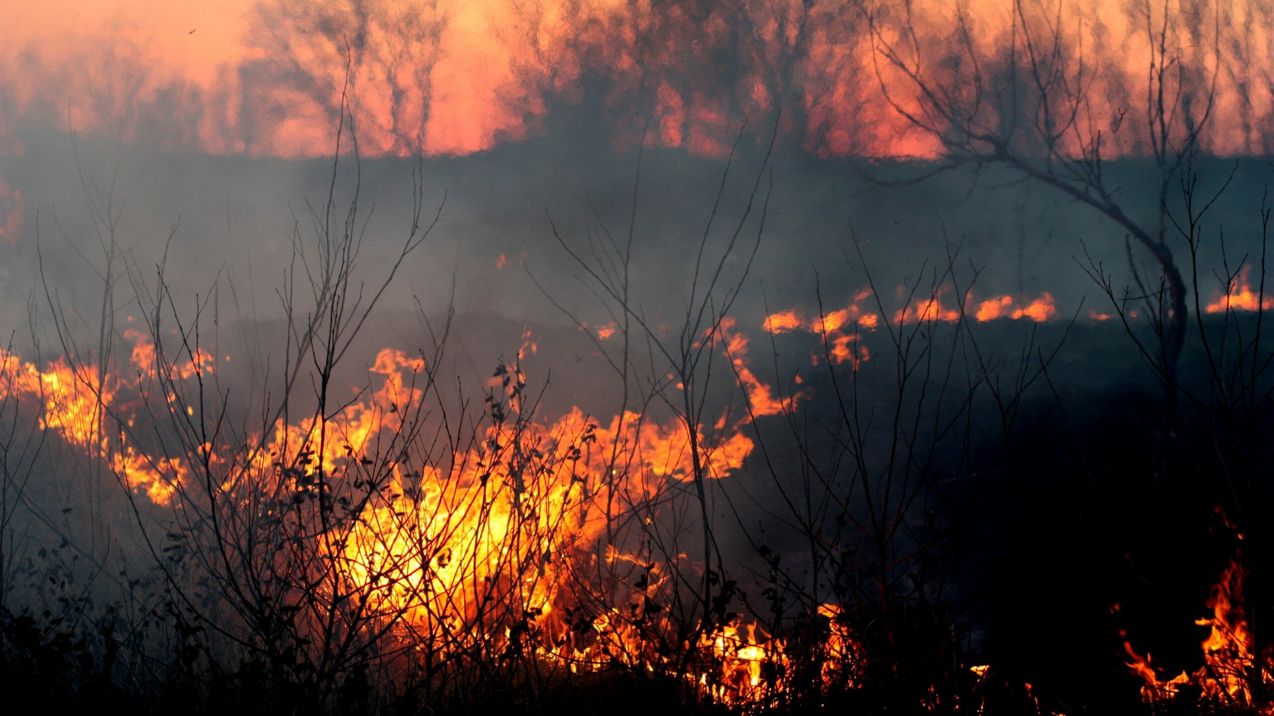 На виновников ландшафтных пожаров в Курганской области заведено 7 уголовных дел