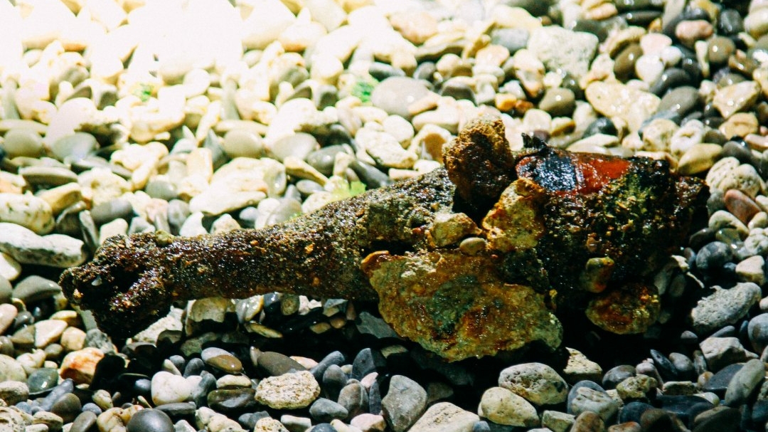 На Солдатском пляже Севастополя нашли мину со времен ВОВ