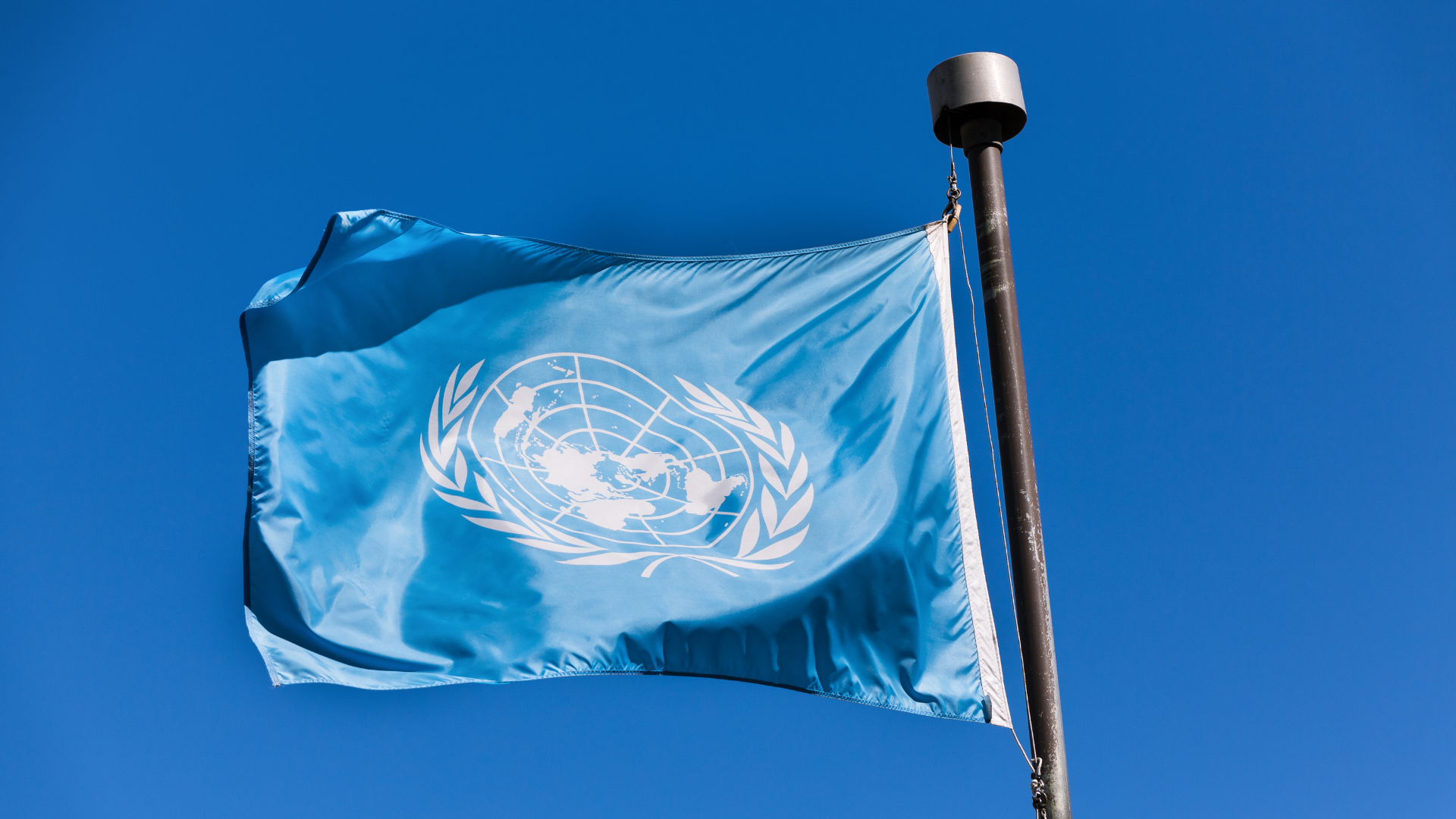 СБ ООН намерены обсудить референдумы на бывших территориях Украины