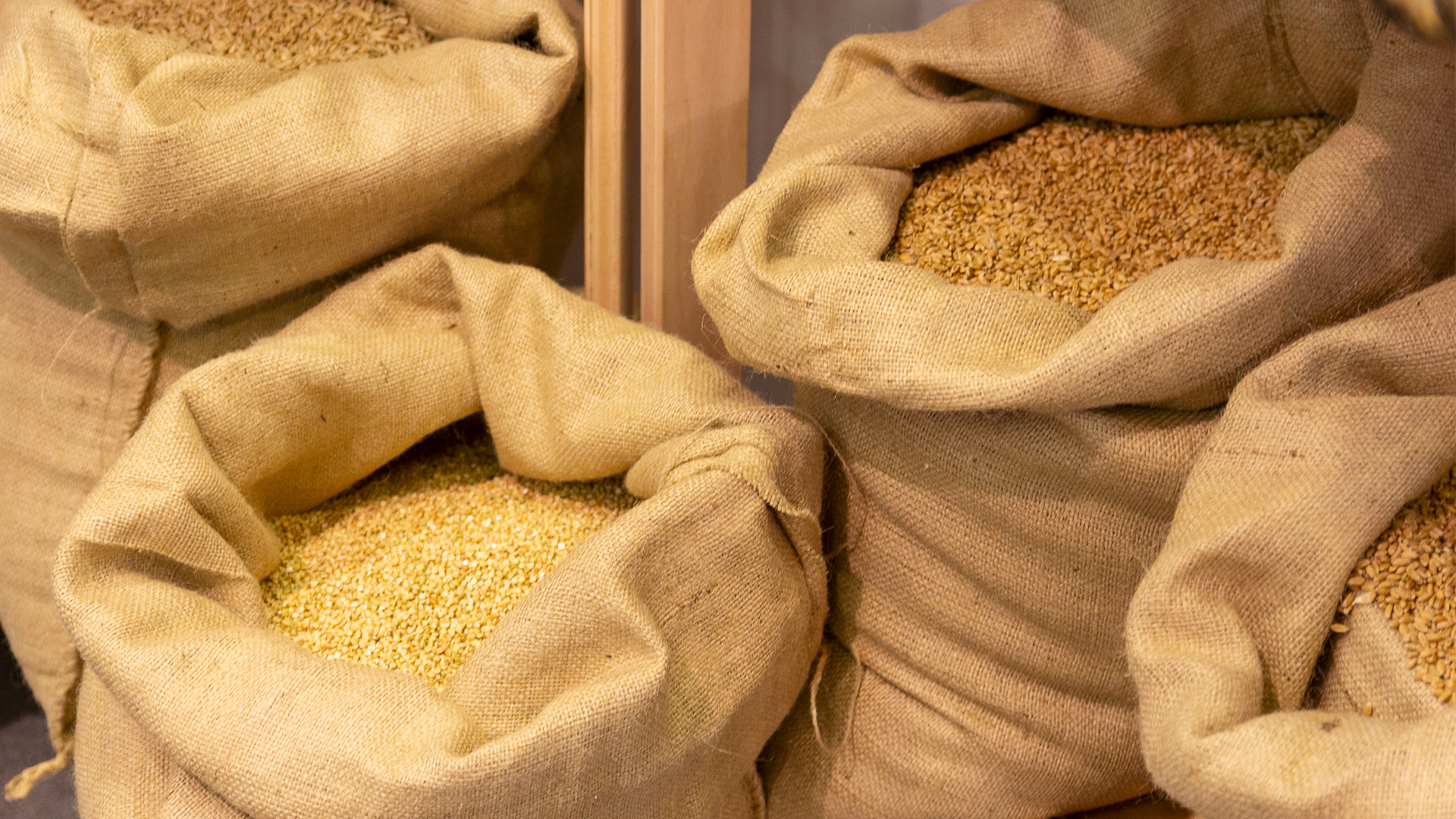 Парламенты G20 сошлись во мнении, что зерновую сделку следует возобновить на условиях РФ
