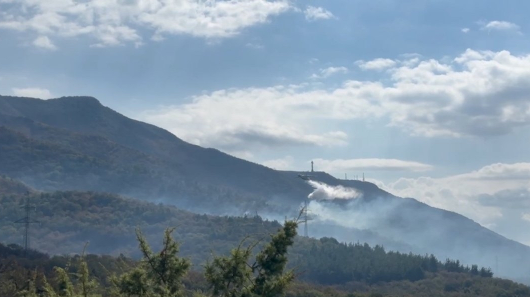 Лесной пожар на 118 га в Геленджике ликвидируют вторые сутки