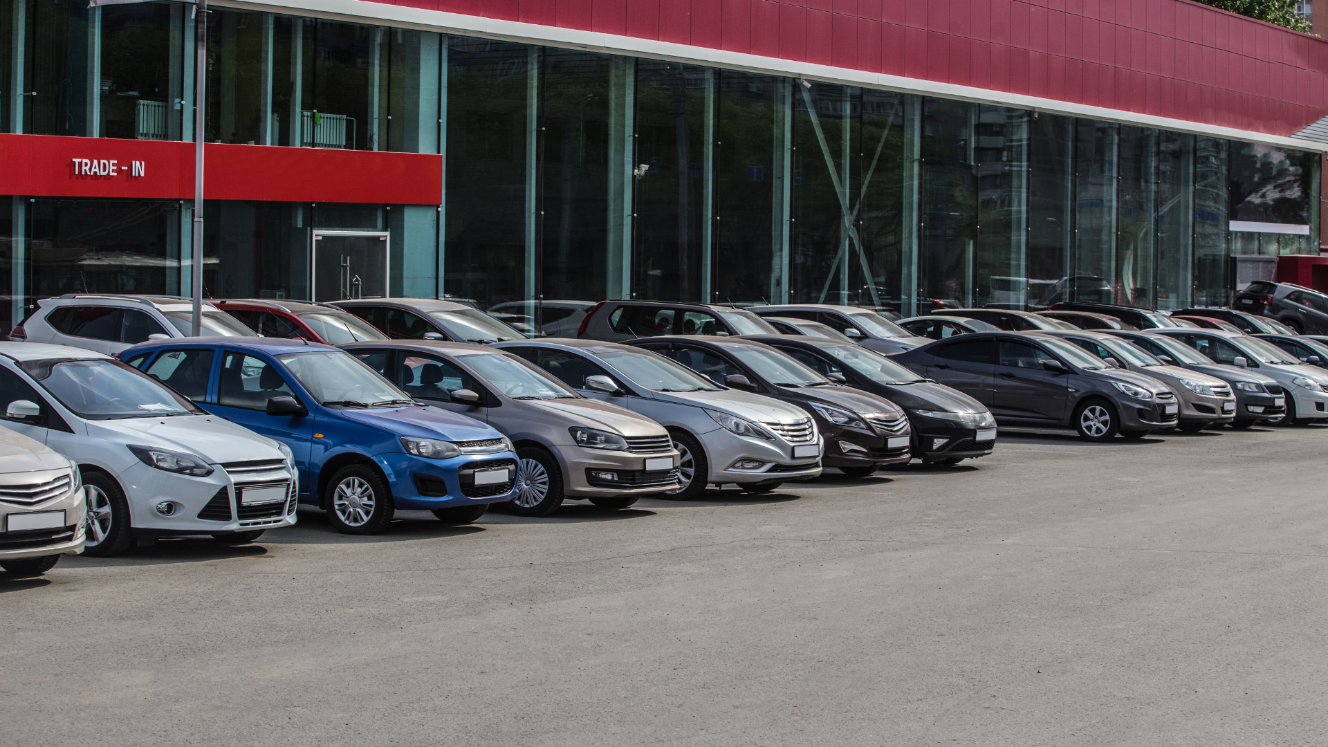 Продажи новых авто в Петербурге за июль выросли на 33%