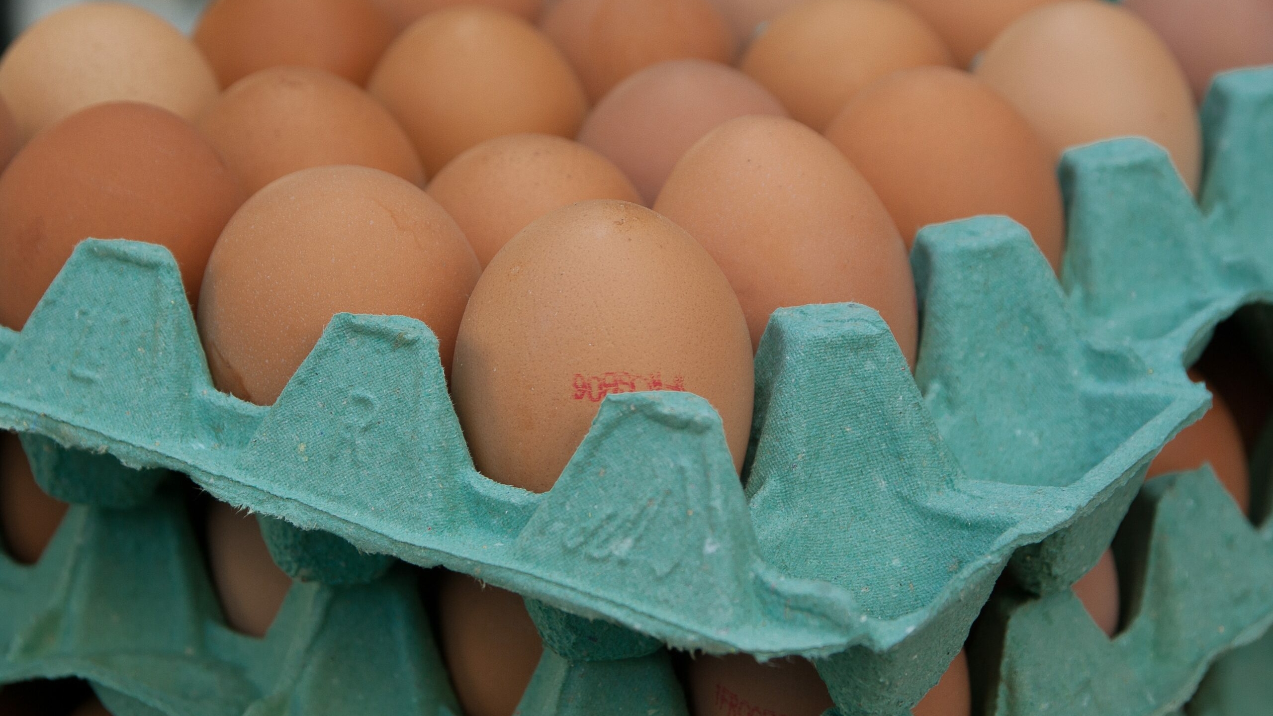 Петербургские ретейлеры сообщили о росте цен на куриные яйца