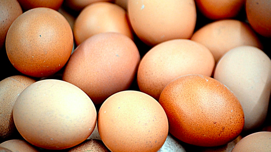 Набиулина объяснила рост цен на куриные яйца