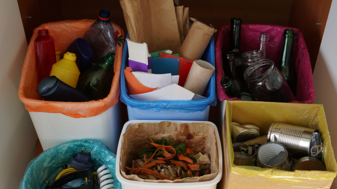 Британцам выписывают серьезные штрафы за сортировку мусора