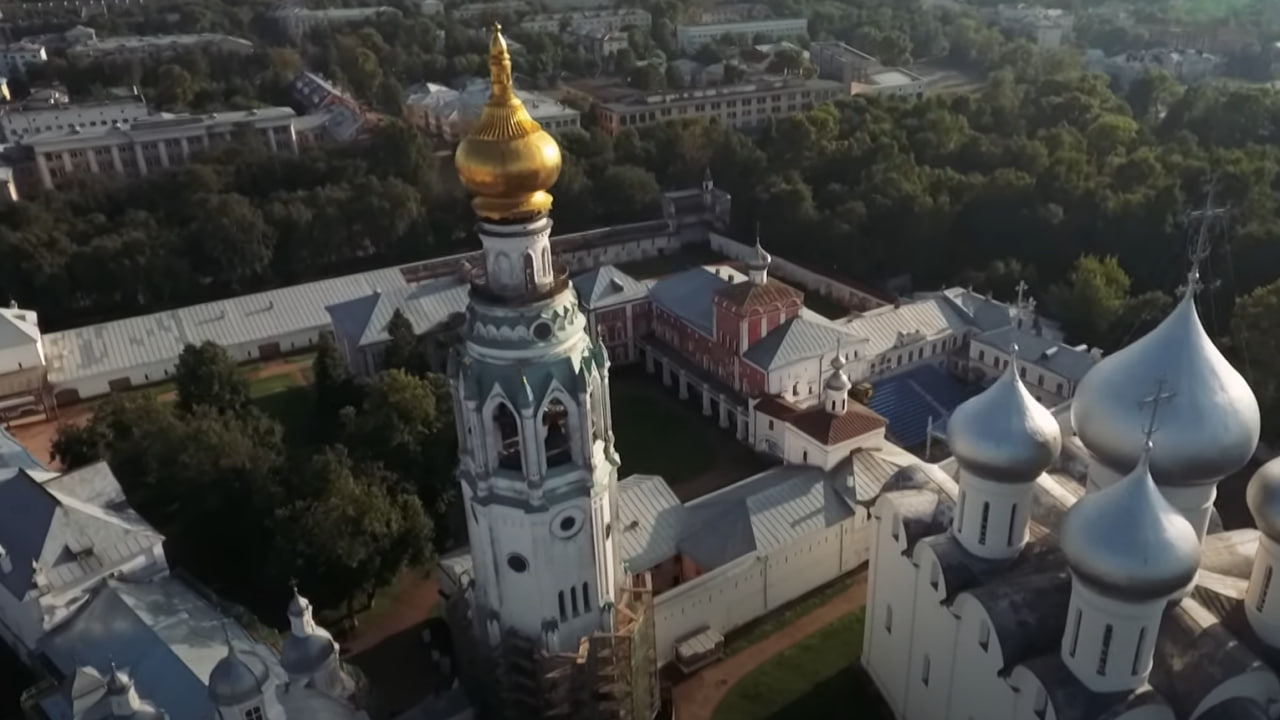 В Вологодской области определили структуру гигантского лесного департамента