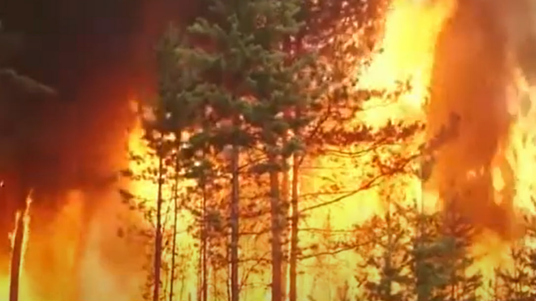 Более 3,5 тысяч пожарных будут готовы к 22 апреля в Вологодской области к лесопожарному сезону