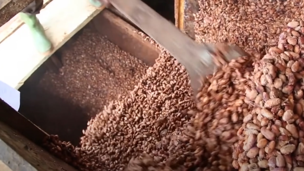 Рост цен на какао-бобы грозит увеличением цен на кондитерские изделия