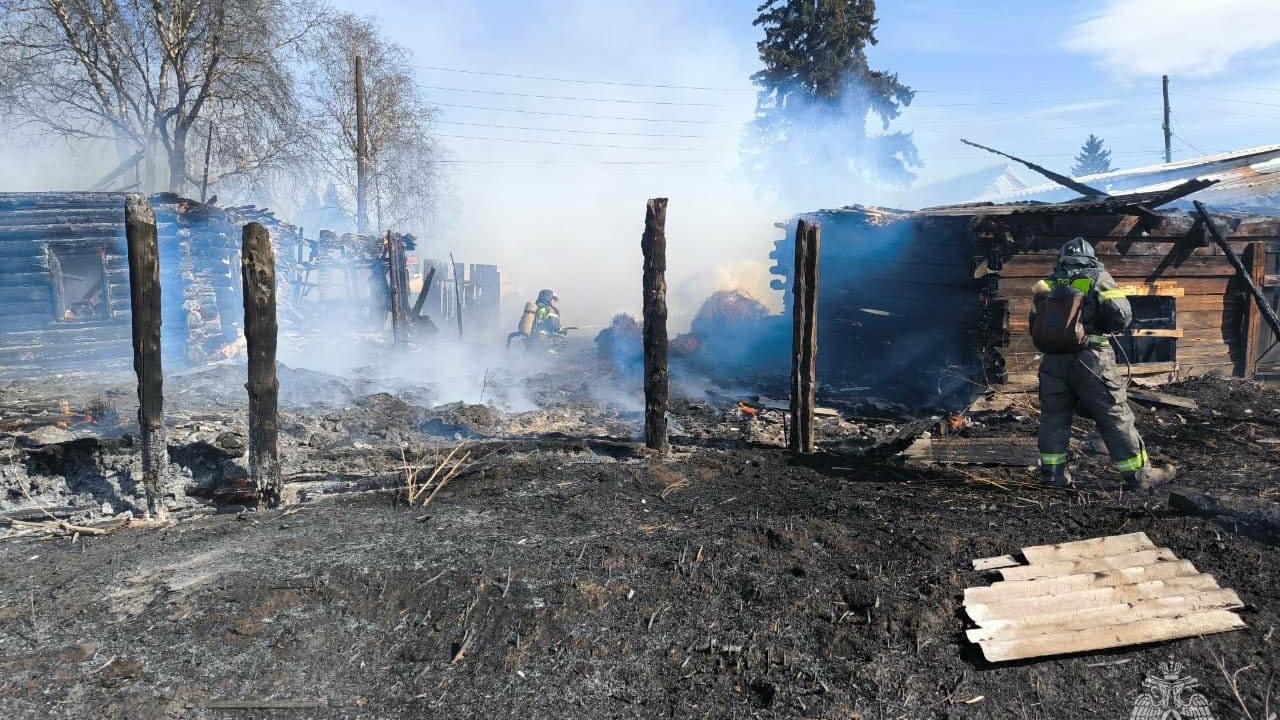 Сокол придумал, как помочь отчаявшимся погорельцам в Хакасии