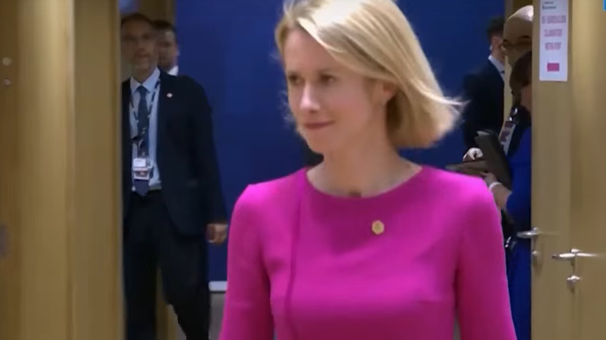 ЕС вместо USAID поможет с демократией в странах третьего мира