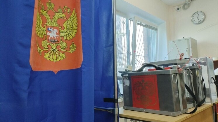 Свыше 20 тысяч новгородцев проголосуют онлайн на выборах губернатора