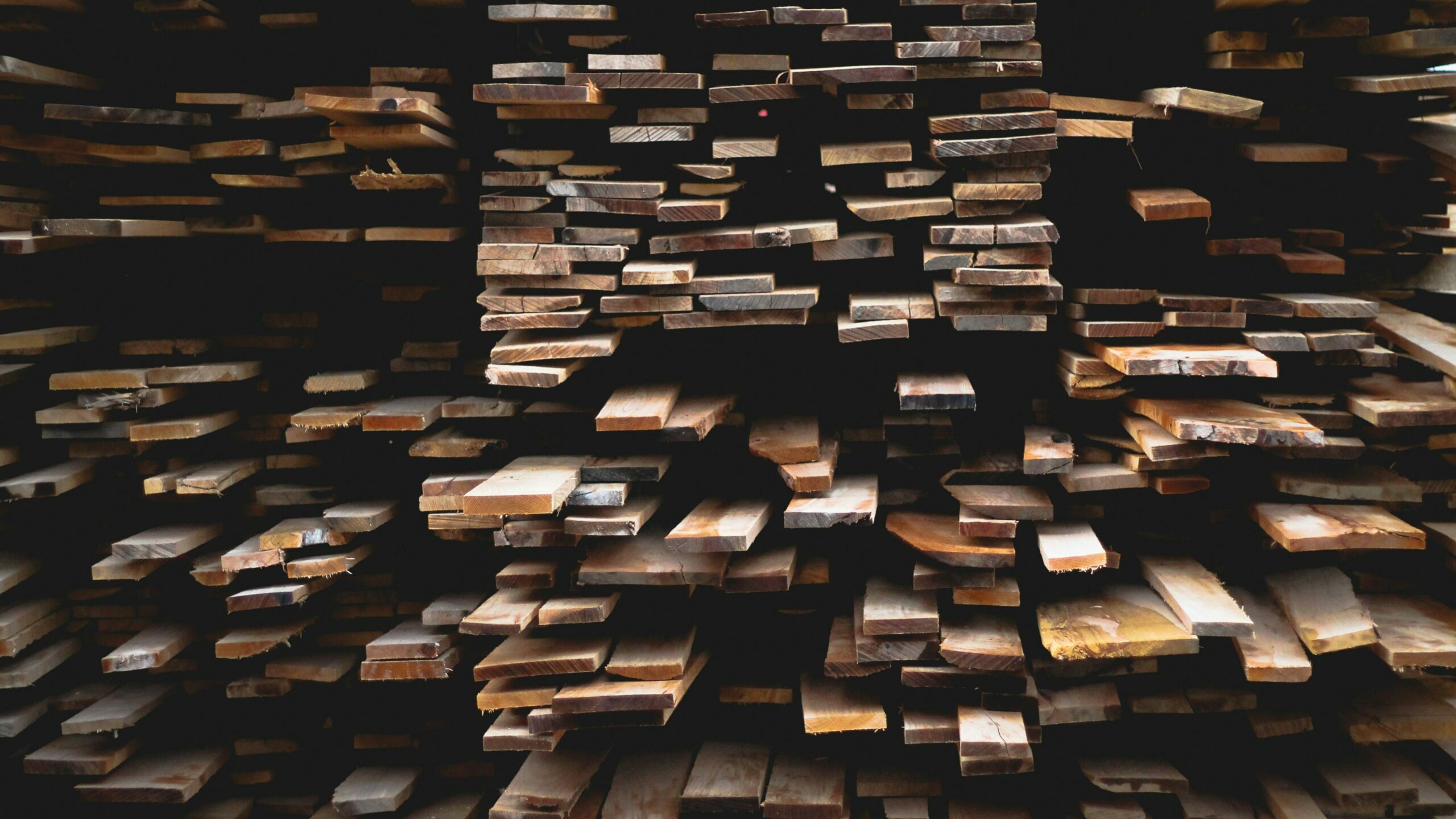 Экспорт древесины из Новгородчины при Дронове вырос на 14%