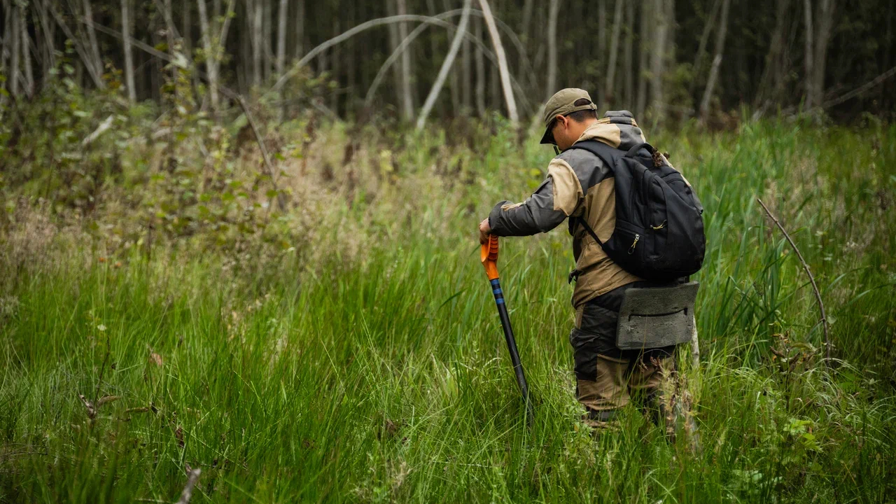 В Новгородской области при подготовке к строительству ВСМ нашли останки красноармейцев