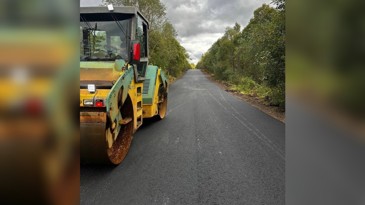 Под контролем Дронова ремонтируют более 20 км региональных дорог в Старорусском округе