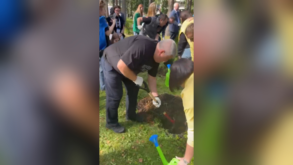 Александр Дронов высадил дерево на «Аллее Героев» СВО в рамках форума «Ладога»