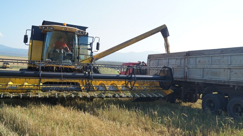 Эксперт Тенишев рассказал, почему Хакасия теряет зерно и как вернуть доход аграриям