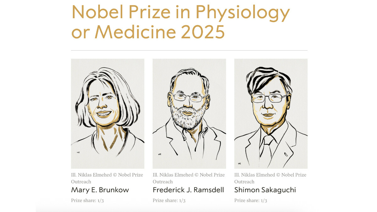 Нобелевскую премию присудили за открытия в работе иммунной системы