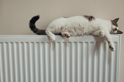 В России ввели новые штрафы для за срыв отопления