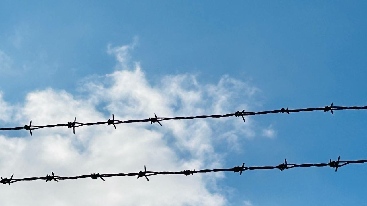 Литва решила раньше времени открыть два КПП на границе с Республикой Беларусь