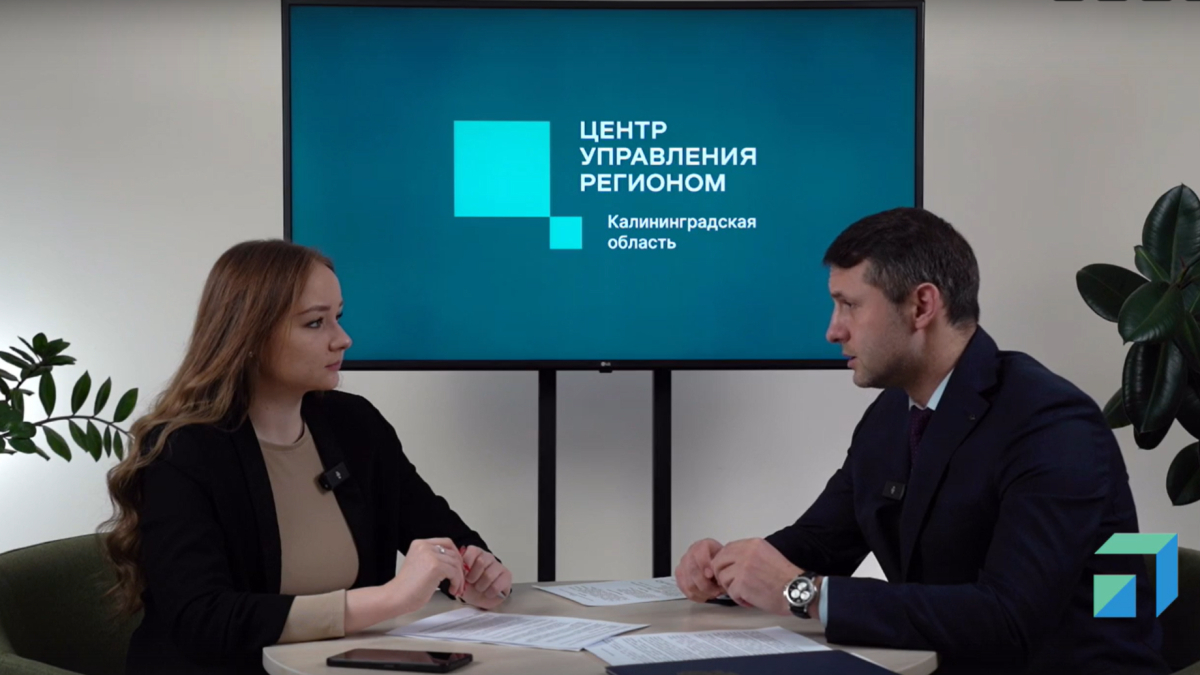 Вобликов: коммунальные службы Черняховска работали без перерывов во время снегопада