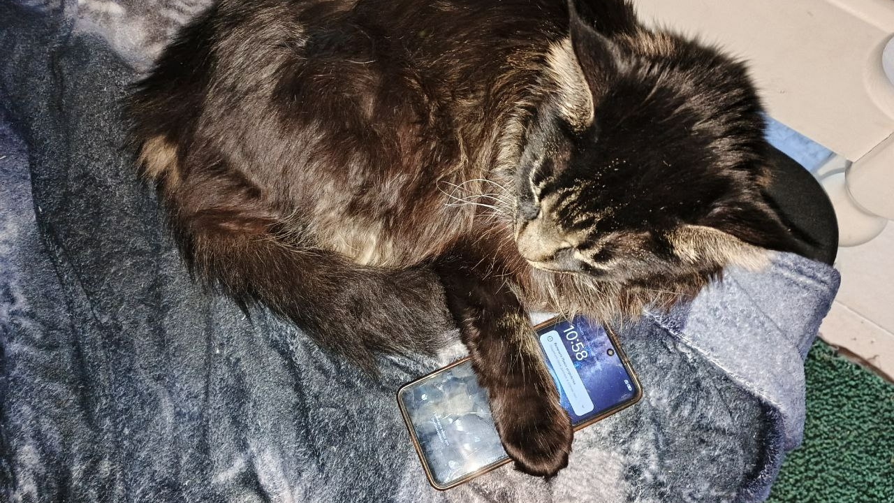 Онлайн-сервисы с 1 марта не смогут навязывать подписки пользователям